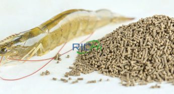 How Does The Shrimp Feed Pellet Machine Improve The Quality Of Shrimp Feed?