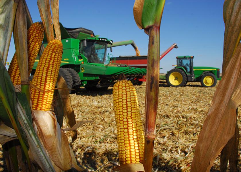 Maintaining Corn Grain Quality Through Harvest and Drying