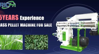 What are the Advantages of Ring Die Alfalfa Pellet Making Machine?