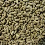 Utilizing Shrimp Feed Pellet Machines in Shrimp Feed Production Shrimp Feed Pellet Machine