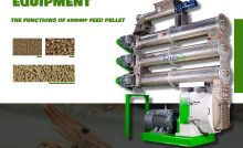Shrimp Feed Pellet Machine